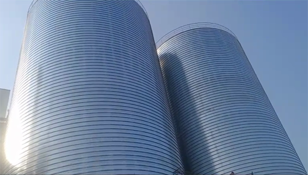 青山2座混凝土高架卷板仓